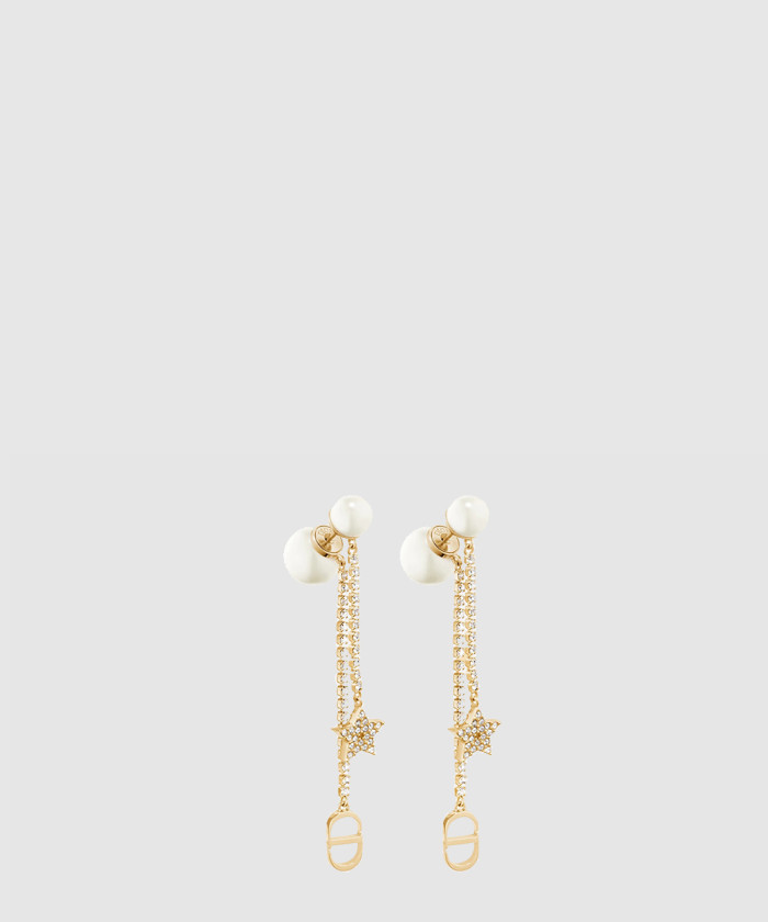 [DIOR-디올]트라이벌 귀걸이 E1270