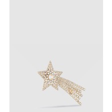 [DIOR-디올]나이트 허바리움 브로치 V1347