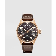 [IWC-아이더블유씨]파일럿 워치 46.2 IW502706