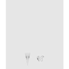 [GUCCI-구찌]아이콘 비대칭 귀걸이 662067