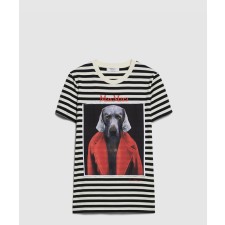 [MAXMARA-막스마라]로쏘 코튼 티셔츠