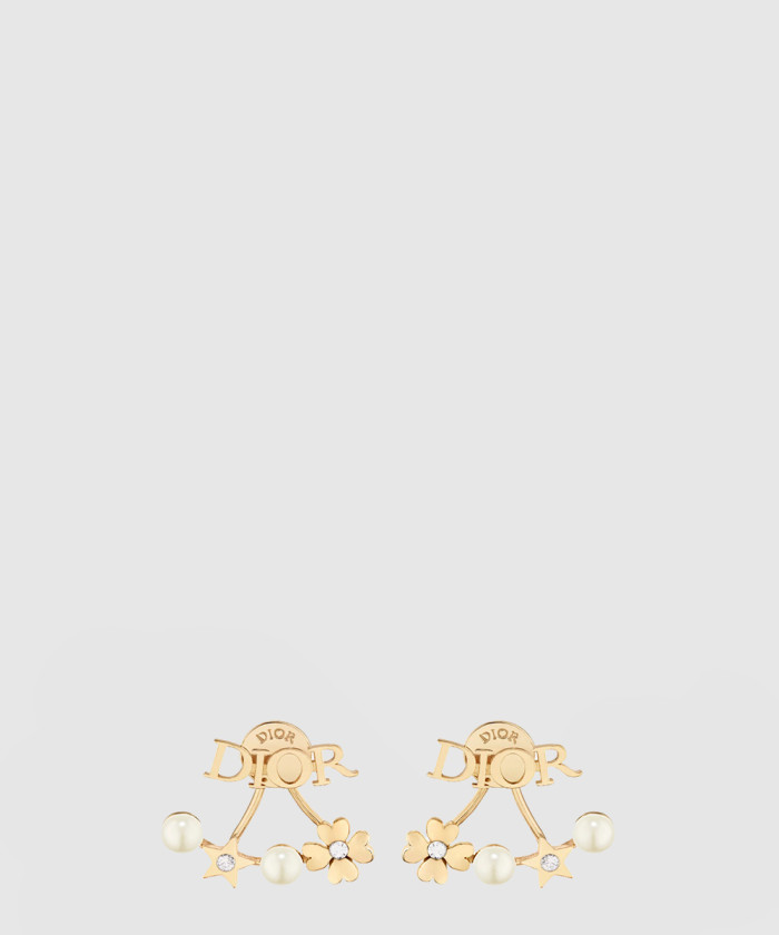 [DIOR-디올]Dior evolution 귀걸이 E3916